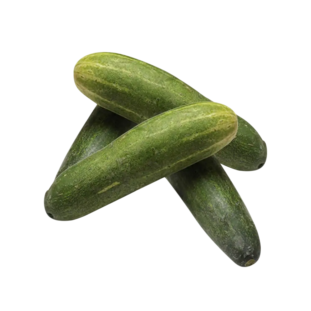 खीरा (500 ग्राम) – ₹8
